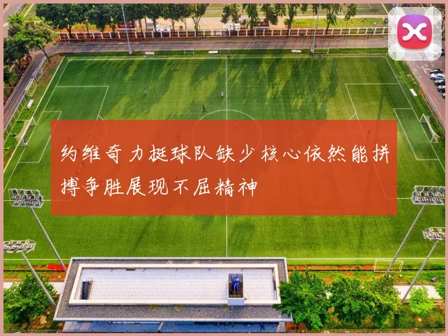 约维奇力挺球队缺少核心依然能拼搏争胜展现不屈精神