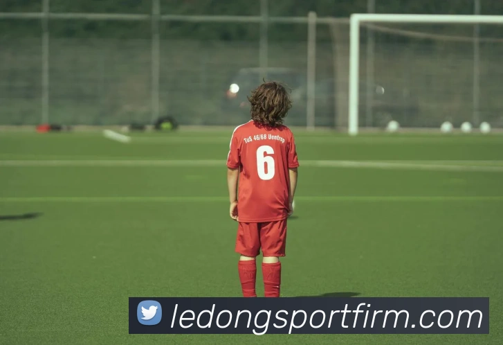 乐动体育平台生态图