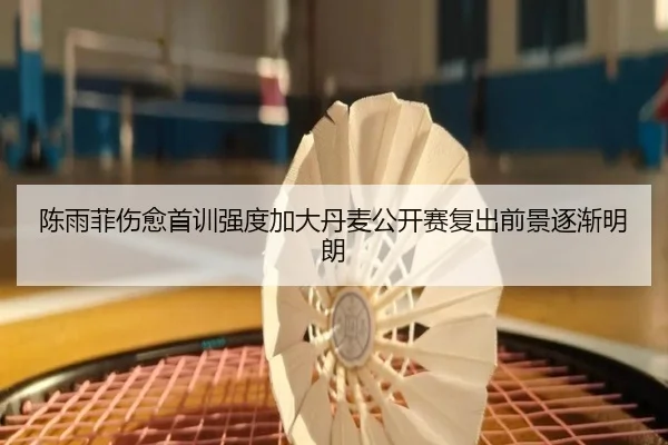 陈雨菲伤愈首训强度加大丹麦公开赛复出前景逐渐明朗（LDSPORTS）